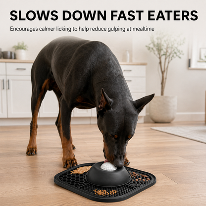 Slow Feeder Dog Bowl for Deep-Chested Dogs